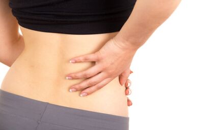 Bone fiber of the lumbar