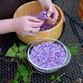 Folk remedy for pain in the finger joints